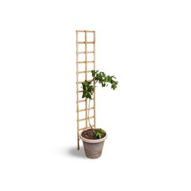 Highlands Sawmill Eco Trellis 285mm - 0