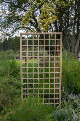 Highlands Sawmill 96mm Square Framed Trellis - 0