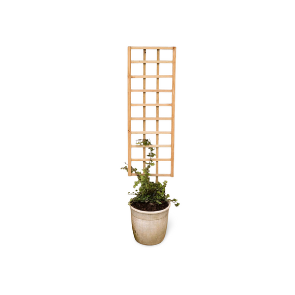 Highlands Sawmill Straight Self Staking Pot Trellis