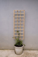 Highlands Sawmill Straight Self Staking Pot Trellis-1