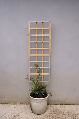 Highlands Sawmill Straight Self Staking Pot Trellis