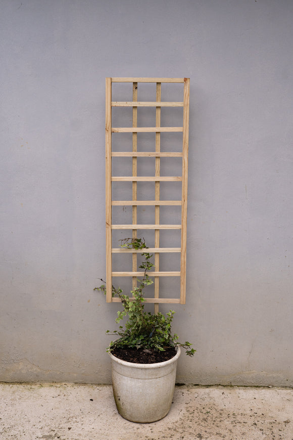 Highlands Sawmill Straight Self Staking Pot Trellis