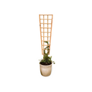Highlands Sawmill Angled Self Staking Pot Trellis-3