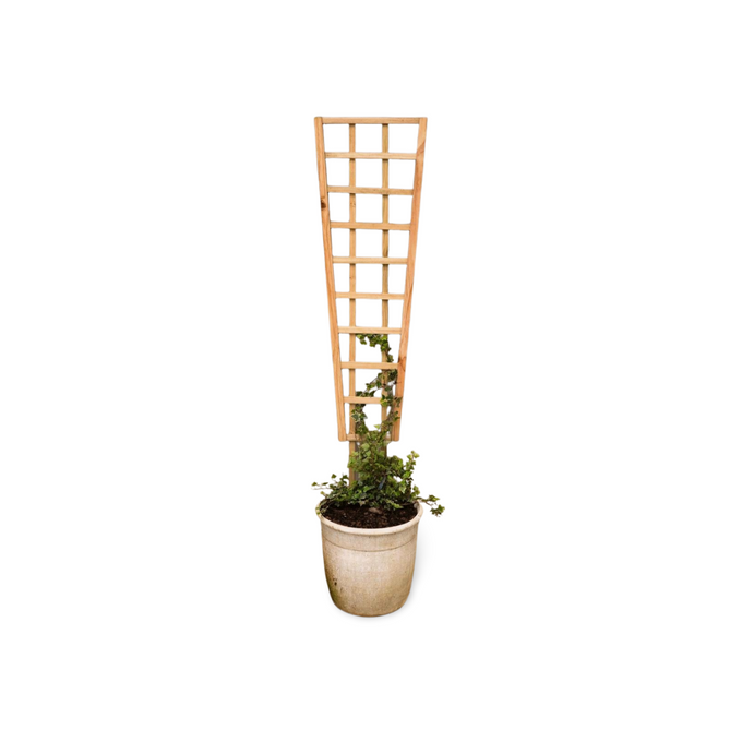 Highlands Sawmill Angled Self Staking Pot Trellis