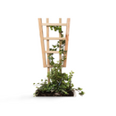 Highlands Sawmill Angled Self Staking Pot Trellis-4
