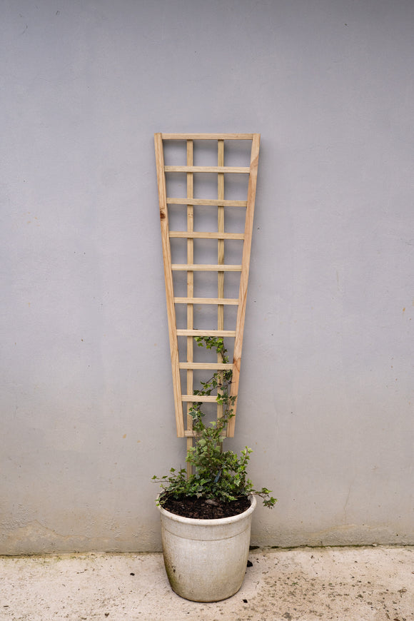 Highlands Sawmill Angled Self Staking Pot Trellis