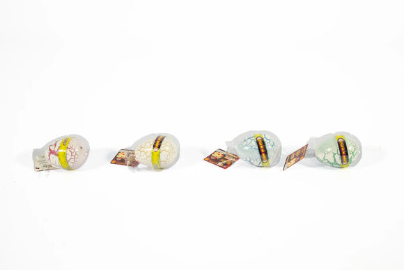 Magic Egg Toy – Assorted - image 01