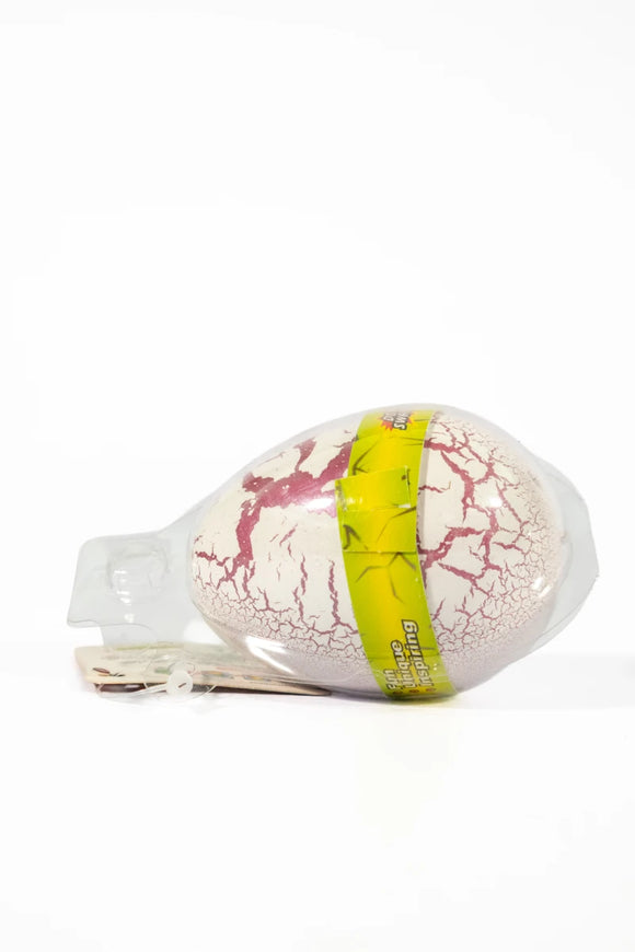 Magic Egg Toy – Assorted - image 02