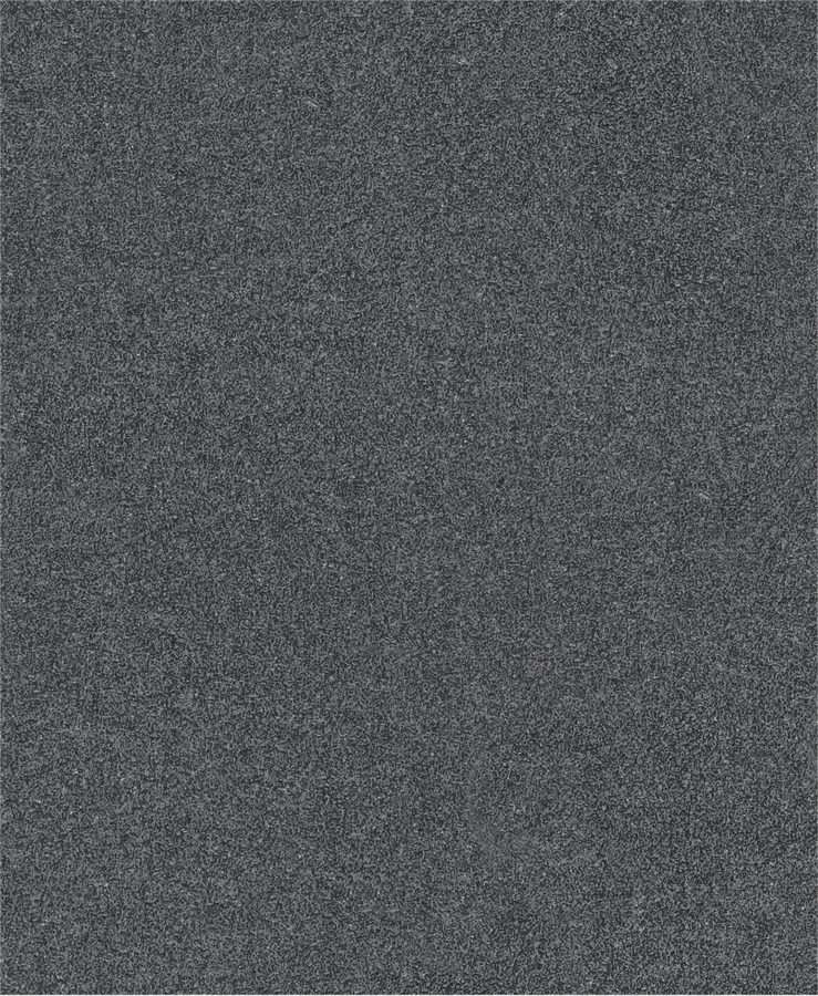 PRO C344 wet and dry Hand Sanding Sheet, 230 x 280 mm, G60, 100 pcs
