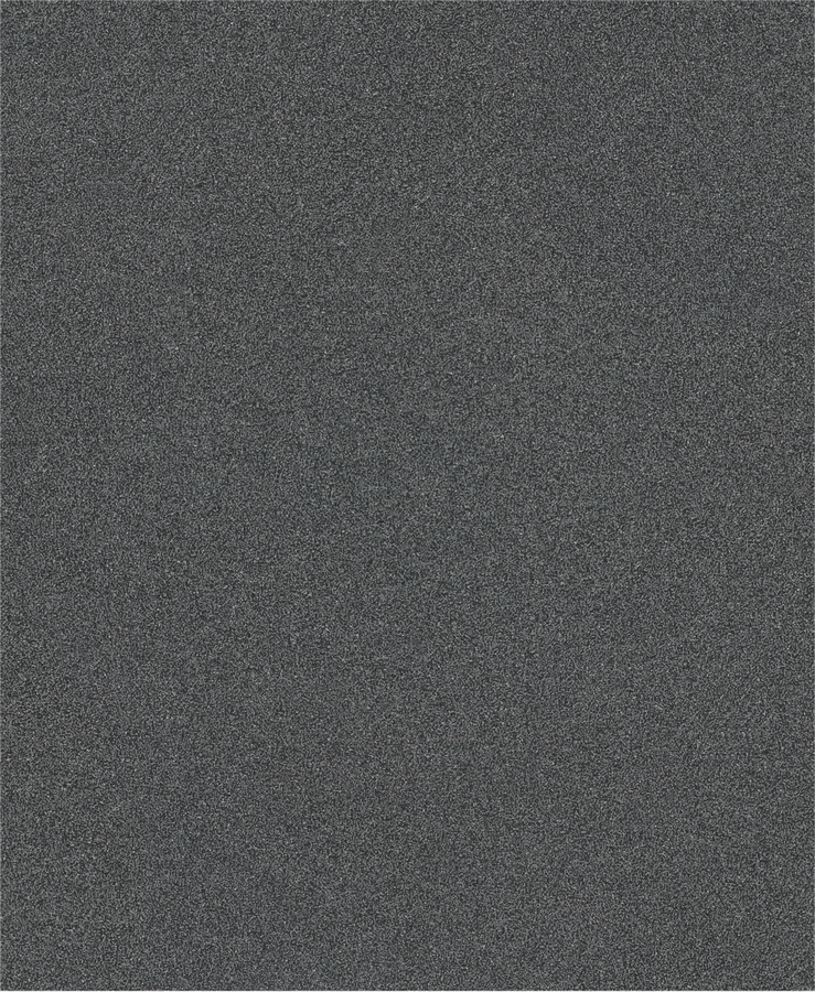 PRO C344 wet and dry Hand Sanding Sheet, 230 x 280 mm, G80, 100 pcs