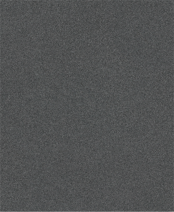 PRO C344 wet and dry Hand Sanding Sheet, 230 x 280 mm, G80, 100 pcs