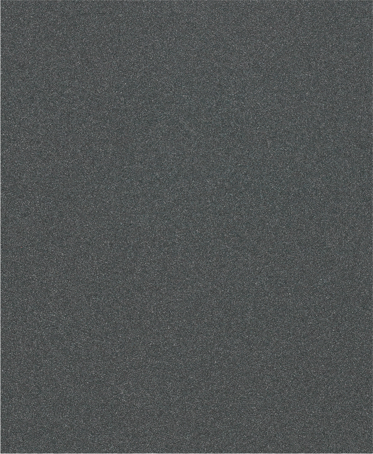 PRO C344 wet and dry Hand Sanding Sheet, 230 x 280 mm, G100, 100 pcs
