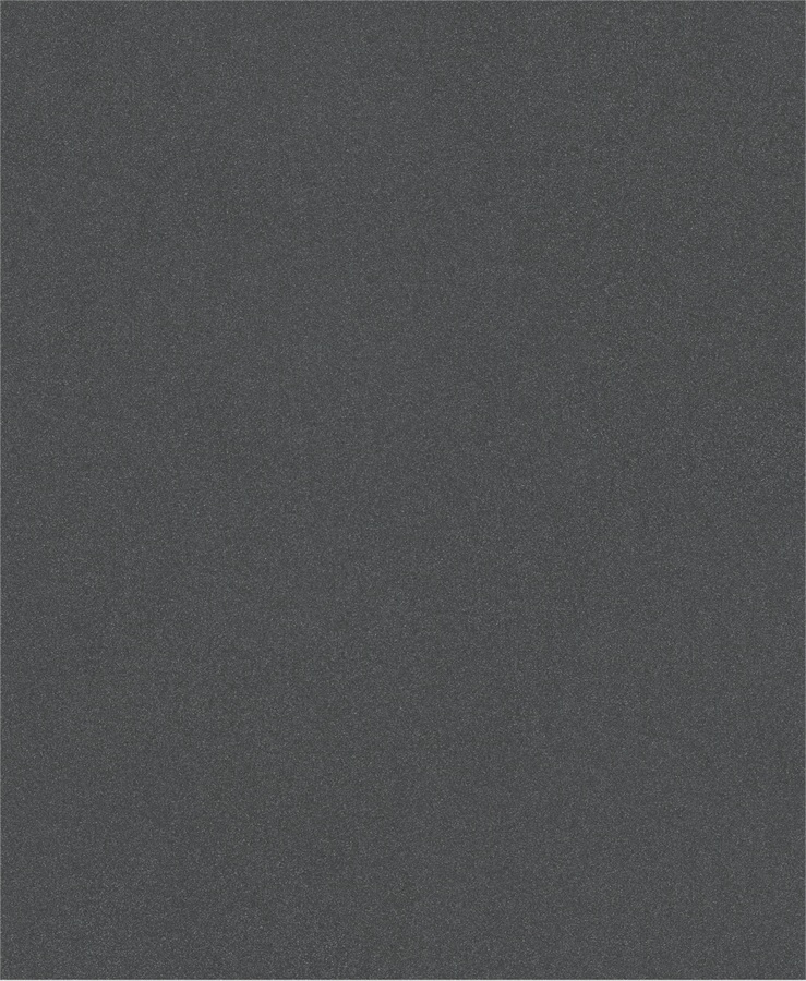PRO C344 wet and dry Hand Sanding Sheet, 230 x 280 mm, G220, 100 pcs