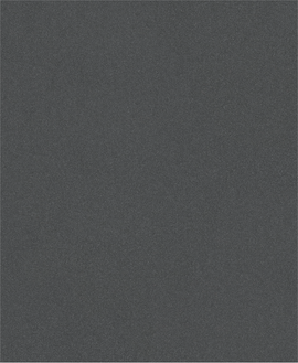 PRO C344 wet and dry Hand Sanding Sheet, 230 x 280 mm, G220, 100 pcs