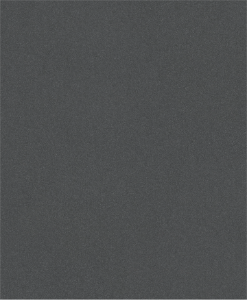 PRO C344 wet and dry Hand Sanding Sheet, 230 x 280 mm, G220, 100 pcs