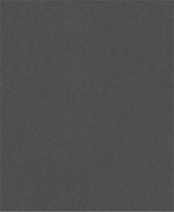 PRO C344 wet and dry Hand Sanding Sheet, 230 x 280 mm, G220, 100 pcs