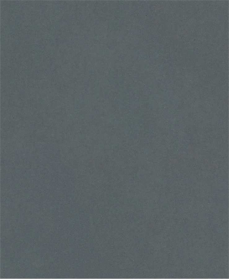 PRO C344 wet and dry Hand Sanding Sheet, 230 x 280 mm, G600, 100 pcs