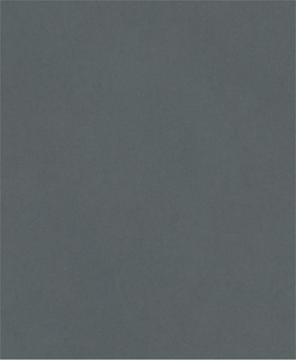 PRO C344 wet and dry Hand Sanding Sheet, 230 x 280 mm, G600, 100 pcs