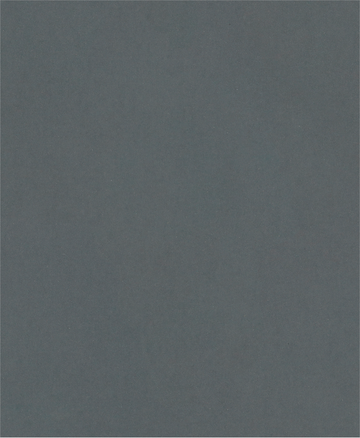 PRO C344 wet and dry Hand Sanding Sheet, 230 x 280 mm, G600, 100 pcs