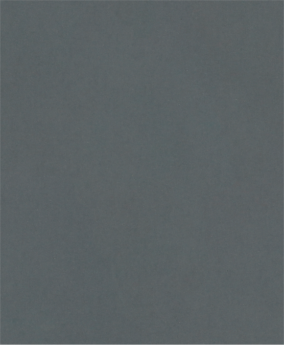 PRO C344 wet and dry Hand Sanding Sheet, 230 x 280 mm, G600, 100 pcs