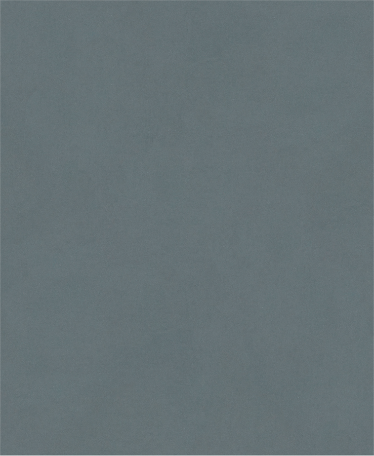 PRO C344 wet and dry Hand Sanding Sheet, 230 x 280 mm, G800, 100 pcs