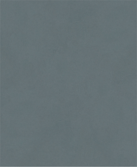 PRO C344 wet and dry Hand Sanding Sheet, 230 x 280 mm, G800, 100 pcs