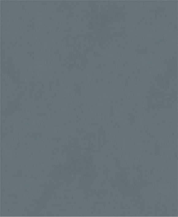 PRO C344 wet and dry Hand Sanding Sheet, 230 x 280 mm, G800, 100 pcs