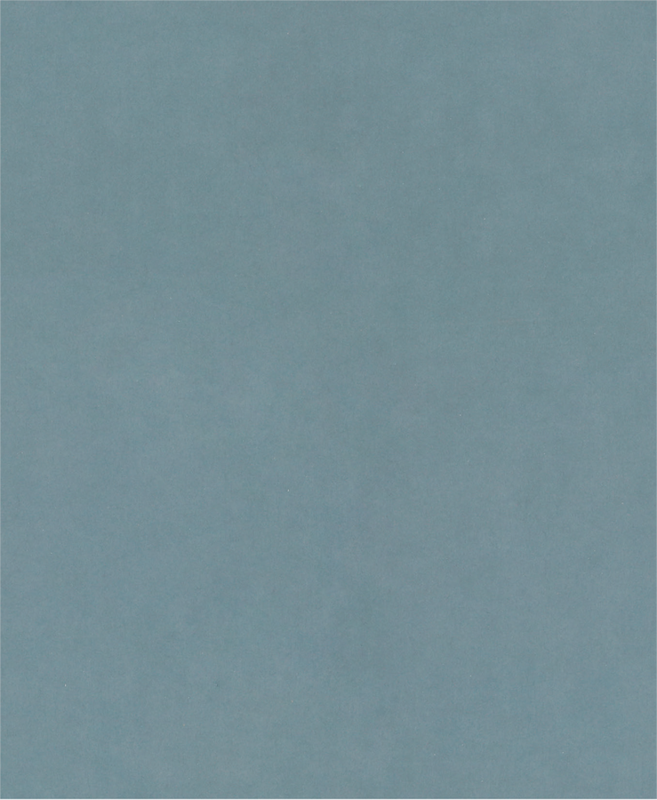 PRO C344 wet and dry Hand Sanding Sheet, 230 x 280 mm, G1000, 100 pcs