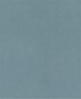 PRO C344 wet and dry Hand Sanding Sheet, 230 x 280 mm, G1000, 100 pcs