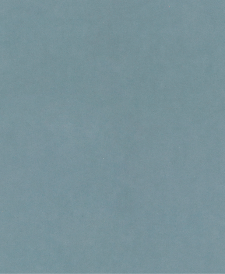 PRO C344 wet and dry Hand Sanding Sheet, 230 x 280 mm, G1200, 100 pcs