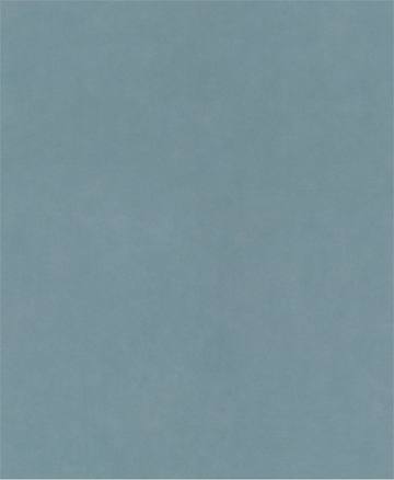 PRO C344 wet and dry Hand Sanding Sheet, 230 x 280 mm, G1200, 100 pcs