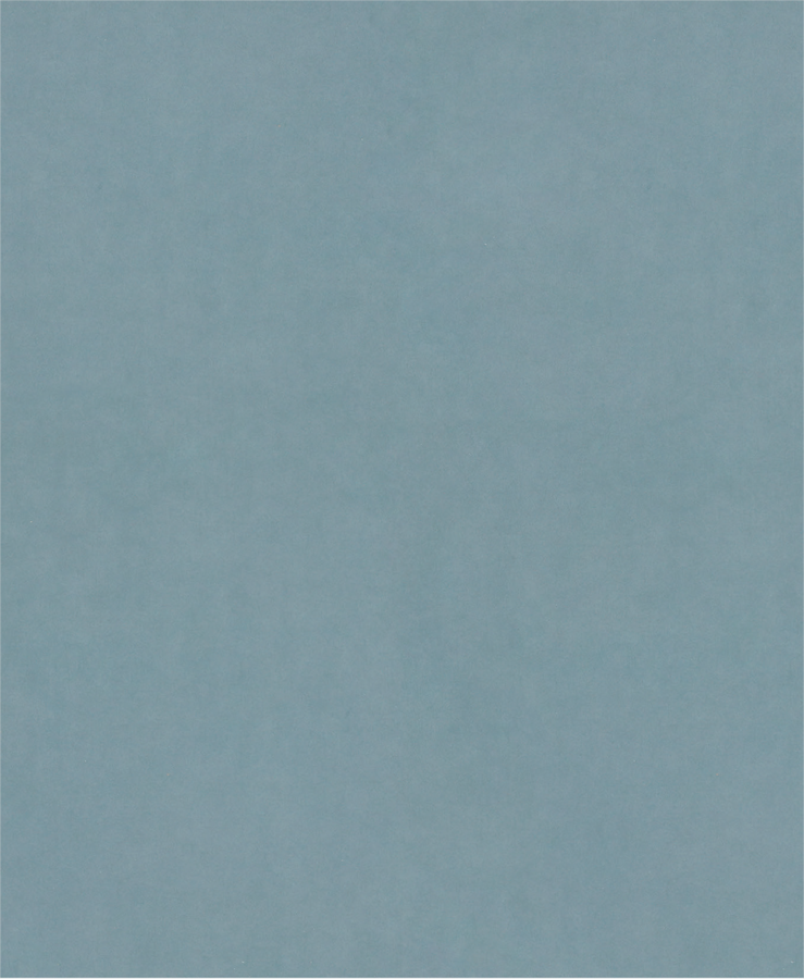 PRO C344 wet and dry Hand Sanding Sheet, 230 x 280 mm, G2000, 100 pcs