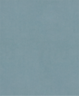 PRO C344 wet and dry Hand Sanding Sheet, 230 x 280 mm, G2000, 100 pcs