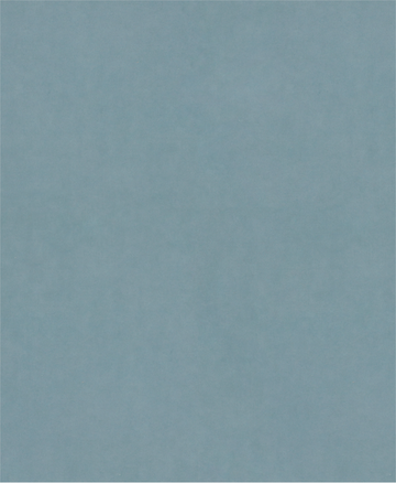 PRO C344 wet and dry Hand Sanding Sheet, 230 x 280 mm, G2000, 100 pcs