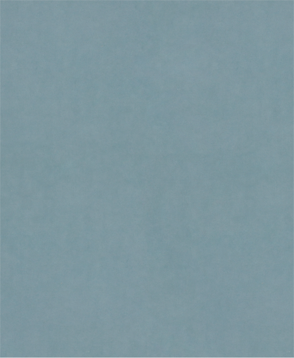 PRO C344 wet and dry Hand Sanding Sheet, 230 x 280 mm, G2000, 100 pcs