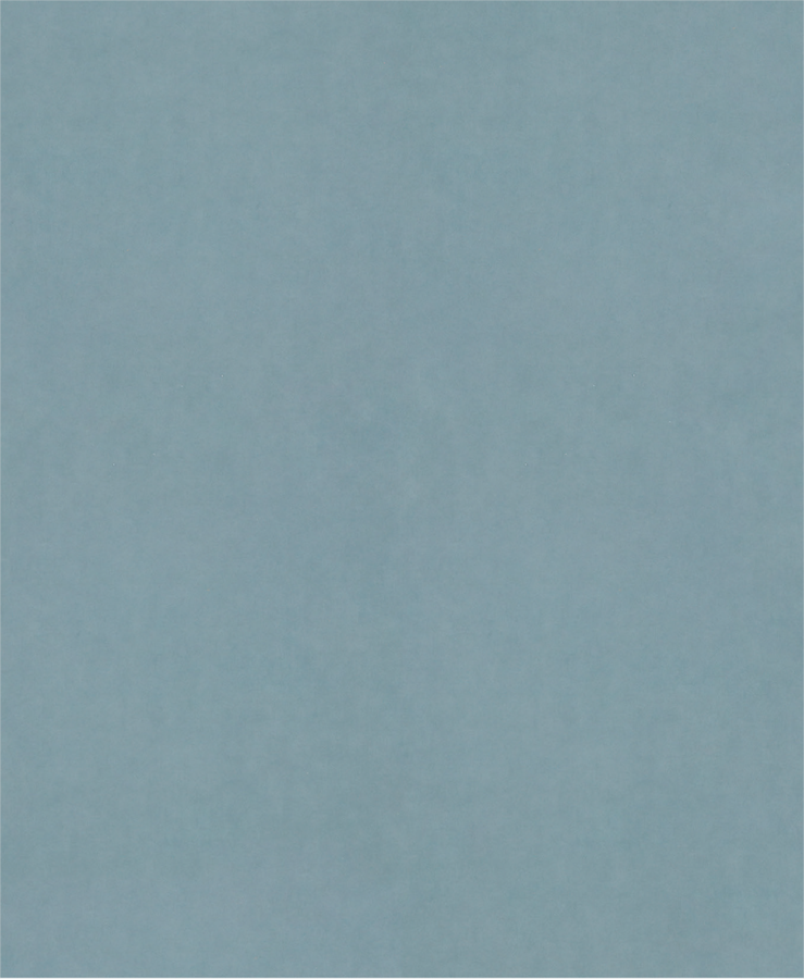 PRO C344 wet and dry Hand Sanding Sheet, 230 x 280 mm, G2500, 100 pcs