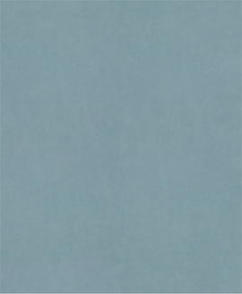 PRO C344 wet and dry Hand Sanding Sheet, 230 x 280 mm, G2500, 100 pcs