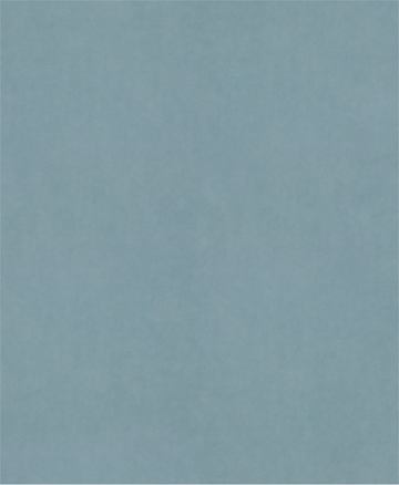 PRO C344 wet and dry Hand Sanding Sheet, 230 x 280 mm, G2500, 100 pcs