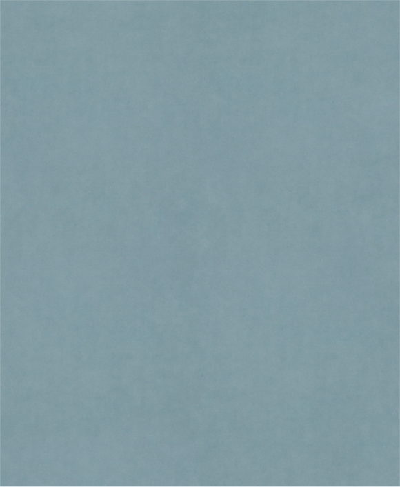 PRO C344 wet and dry Hand Sanding Sheet, 230 x 280 mm, G2500, 100 pcs