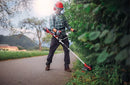 Einhell Cordless Scythe AGILLO 36/255 BL-Solo-4