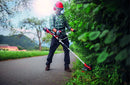 Einhell Cordless Scythe AGILLO 36/255 BL-Solo - image 05