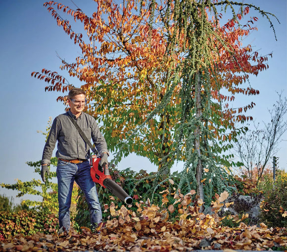 Einhell PROFESSIONAL Cordless Leaf Blower GP-LB 36/210 Li E-Solo