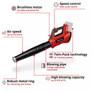 Einhell PROFESSIONAL Cordless Leaf Blower GP-LB 36/210 Li E-Solo-2