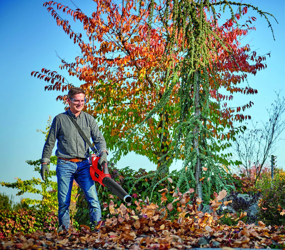 Einhell PROFESSIONAL Cordless Leaf Blower GP-LB 36/210 Li E-Solo - image 04