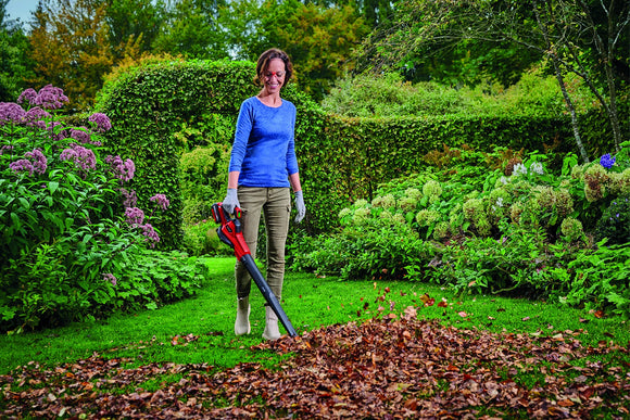 Einhell Cordless Leaf Blower GE-UB 18/250 Li E-Solo - image 03
