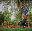 Einhell Cordless Leaf Vacuum VENTURRO 18/210-3