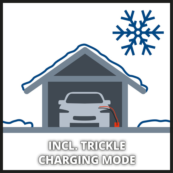 Einhell Battery Charger CE-BC 5 M LiFePO4,