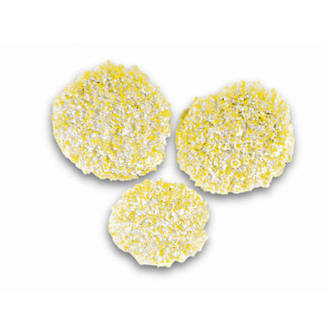 Karcher Polishing pads (stone/linoleum) - FP 303