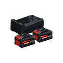 Bosch Starter Set 2x EXBA18V-55 + GAL12V/18V-80-1