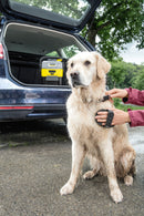 Karcher Pet Cleaning Brush (OC 3 Foldable)-3